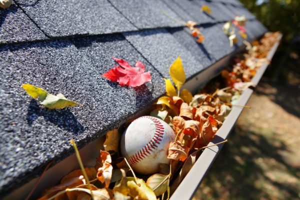tips for fall property maintenance