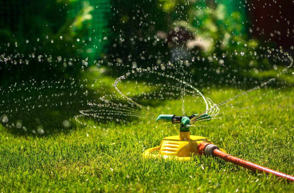 landscaping raises property value